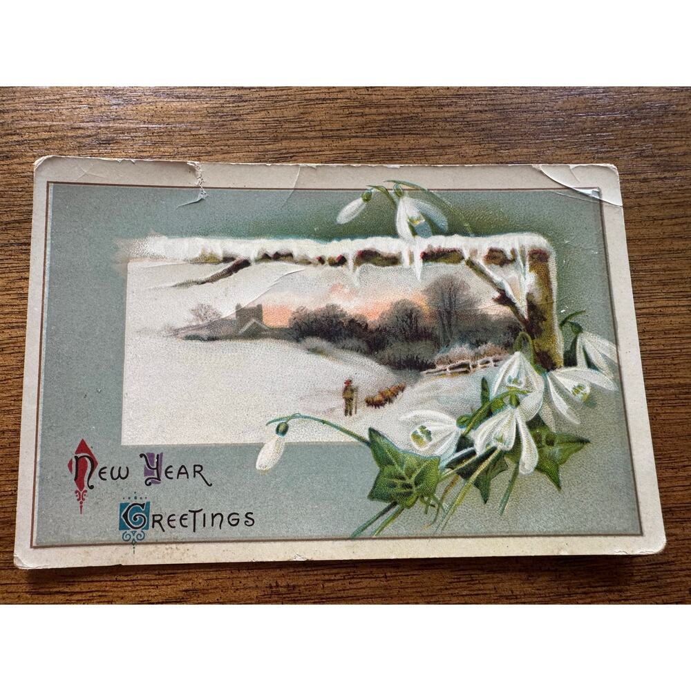 Vintage 1911 Embossed German New Year Greetings Postcard Snowdrops Posted